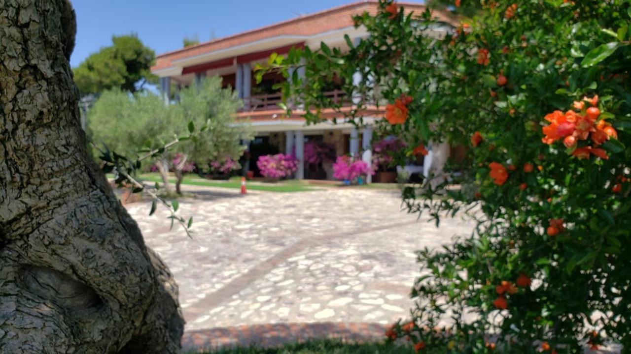 Hotel Brifs Shengjin Bagian luar foto