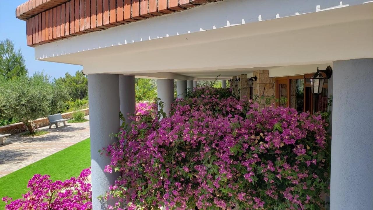 Hotel Brifs Shengjin Bagian luar foto