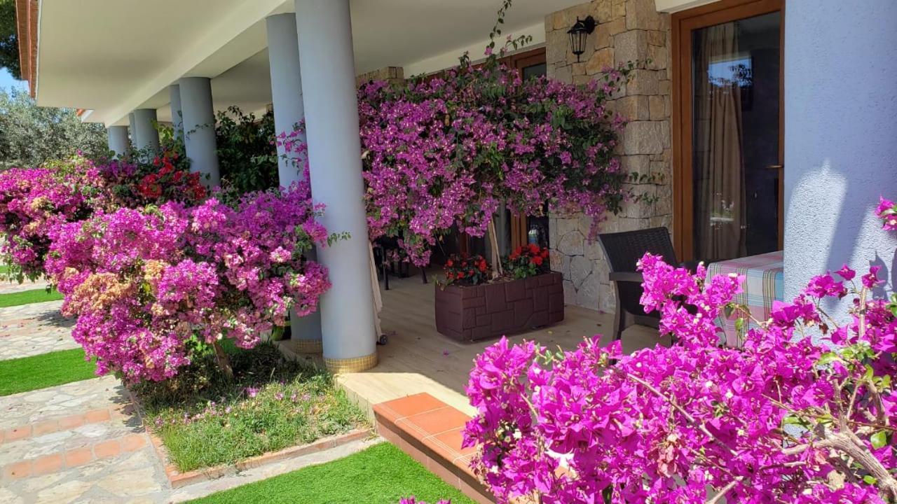 Hotel Brifs Shengjin Bagian luar foto