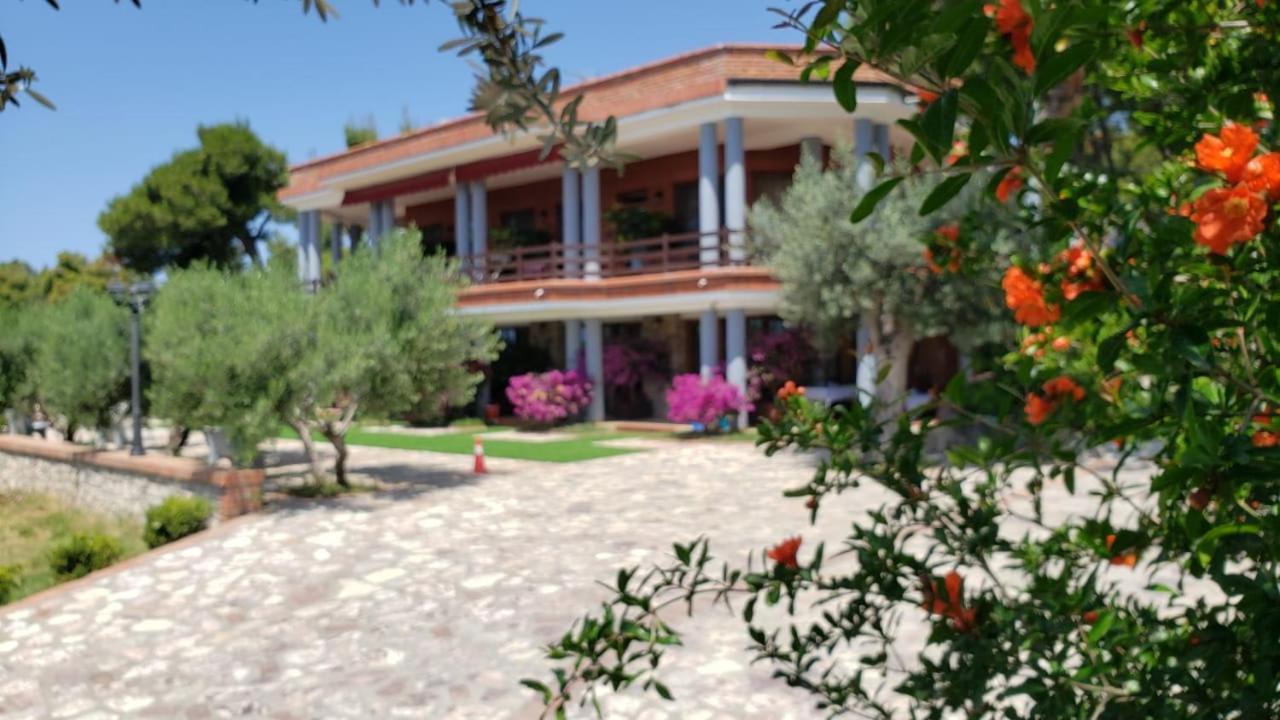 Hotel Brifs Shengjin Bagian luar foto