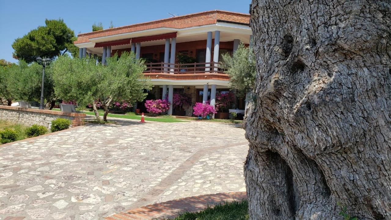 Hotel Brifs Shengjin Bagian luar foto