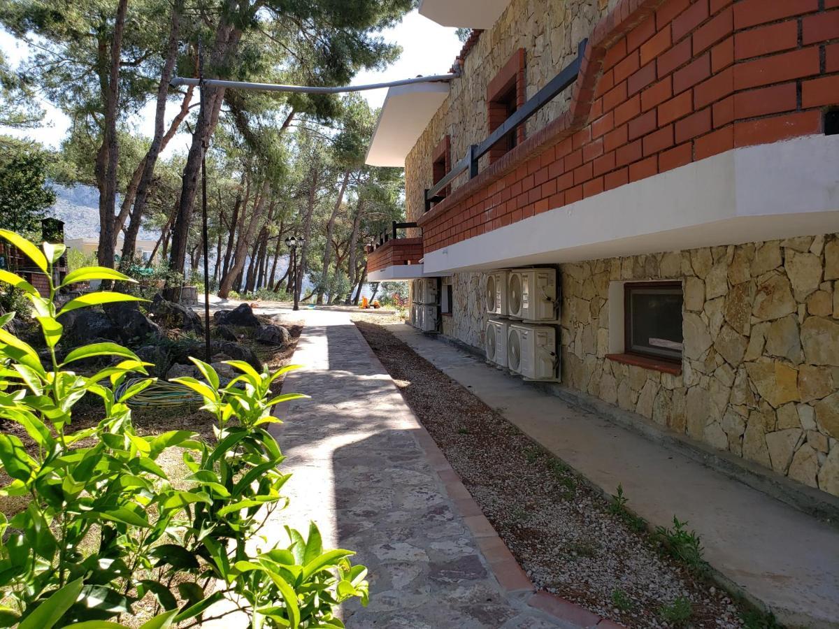 Hotel Brifs Shengjin Bagian luar foto